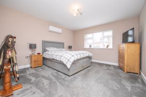 THE CONIFERS- click for photo gallery